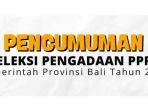 Pemprov-Bali-buka-seleksi-PPPK-2024.jpg