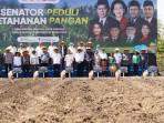 Targetkan Swasembada Pangan, Kementan Tanam Jagung Serentak di 4 Provinsi