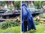 Pengemudi Lexus Tewas Tertimpa Pohon Palem yang Roboh di Pondok Indah Jaksel