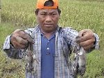 Perburuan-Tikus.jpg