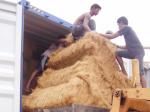 Persiapan-ekspor-serat-sabut-kelapa-coco-fiber-ke-China.jpg
