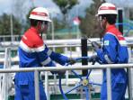 Pertamina NRE Dukung Ketahanan Energi dengan EBT dan Pengelolaan Transisi Energi yang Efisien