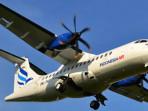 11 Nama Penumpang dan Kru Pesawat ATR 42-500 Indonesia Air yang Hilang Kontak di Maros