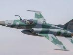 Pesawat-jet-tempur-F-5EM-Tiger-II-milik-angkatan-udara-Brasil.jpg