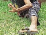 Pesilat.jpg