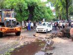 Pohon-Tumbang-Timpa-Mobil-di-Jalan-Raya-Kuta-Bali-Korban-Wanita-Meninggal-dan-Anaknya-Selamat.jpg
