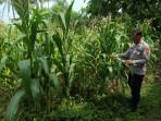 Polsek-Tempuran-Rawat-Jagung.jpg