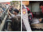 Profil-Rasich-Hanif-Radinal-meninggal-usai-eksekusi-rumah-makan-di-Lebak-Bulus.jpg