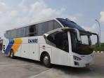 Damri Bagi-bagi Diskon Tiket untuk Sejumlah Rute AKAP, Ini Syarat dan Cara Klaimnya