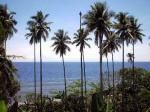 Pulau-Morotai.jpg