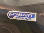 ROCKY-E-HYBRID-9088.jpg