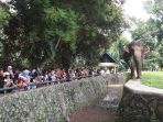 Pengunjung Taman Margasatwa Ragunan saat Libur Kenaikan Isa Almasih Diprediksi Capai 100 Ribu Orang