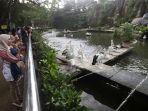 Prakiraan Cuaca Jakarta, 7 Juli 2025 Hari Ini: Hujan Ringan di Jaktim, Jaksel pada Siang