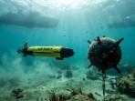 Selat Hormuz Dijejali Ranjau Laut Iran, Bagaimana Cara Angkatan Laut AS Membersihkannya?