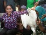 Rieke-di-Garut.jpg
