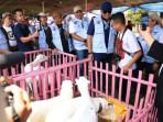 Kontes Domba dan Inovasi Pertanian Meriahkan Hari Peternakan dan Kesehatan Hewan Ke-189 di Bogor