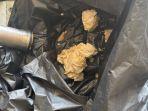 Toilet Tersumbat Kantong Plastik dan Pakaian, Pesawat Air India Chicago-Delhi Terpaksa Putar Balik