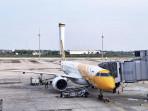 Scoot-Airbus-A320-OK.jpg