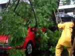 Sedan-Hyunday-merah34.jpg
