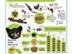 Sejarah-Kopi-dan-Produksi-Kopi-Indonesia.jpg