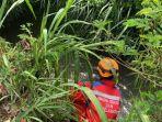 Sejumlah-petugas-animal-Rescue-saat-wew.jpg