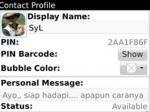 Status-BBM-Syahrul-yasin-Limpo.jpg