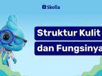 Struktur-Kulit-dan-Fungsinya.jpg