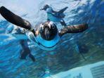 Sunshine-Aquarium-satu-akuarium-terbaik-di-Tokyo-Jepang-1.jpg