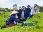 TEKNOLOGI-PEMETIK-TEH-Peninjauan-aktivitas-pemetikan-teh-di-Kebun-Teh-Rancabali.jpg
