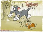 TOM-AND-JERRY.jpg