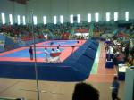 Taekwondo-keliling-lapangan.jpg