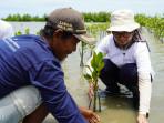 Tanam-mangrove-di-Karawang-OK.jpg