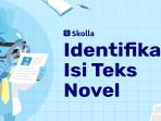 Teks-Novel-Pengertian-Identifikasi-dan-Contoh-Soal.jpg