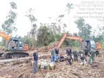 Gordon Ditangkap Usai Buka Lahan di Hutan Bengkalis, Sewa Ekskavator Rp 9 Juta Per Ha