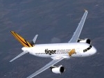 Tiger-Airways.jpg