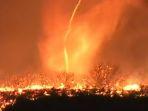 Tornado-Api-di-Los-Angeles.jpg