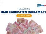 UMK Indramayu 2025 Naik Jadi Rp2.794.237, Berlaku per 1 Januari 2025