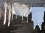 Underwear-jemuran-celana-dalam.jpg