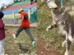 Hukuman untuk Penendang Kucing di Blora, Divonis Bersalah: Harus Sosialisasi 20 Jam di 10 Sekolah