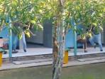Siswa Inklusi di Kalsel Tak Masuk Sekolah Usai Dipukul Guru, Pendidik Masih Aktif Mengajar