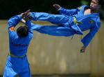 Vovinam-Indonesia-Logo.jpg
