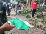 Warga-Bogor-Tewas-Tertimpa-Pohon-Tumbang_2.jpg