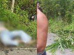 Wartawan-Perempuan-Ditemukan-Tewas-di-Banjarbaru-PWI-Nilai-Ada-Kejanggalan.jpg
