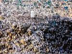 Wukuf-di-Arafah-ok.jpg