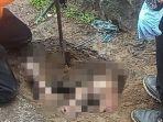 abg-tewas-di-gorong-gorong-depan-sekolah.jpg