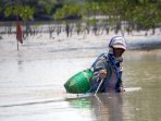 abrasi-pantai-demak_20151009_222603.jpg