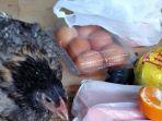 ada-ayam-hidup-dalam-paket-bantuan-untuk-warga-miskin-berikut-penjelasan-dinsos-cianjur.jpg