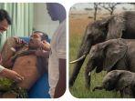 adik-kakak-diinjak-gajah-di-aceh-utara.jpg