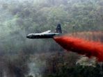 agent-orange_20180308_131612.jpg