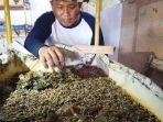 agus-nurokhim-pembudidaya-maggot.jpg